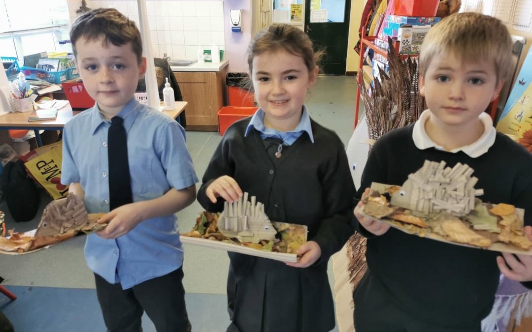 Hedgehogs