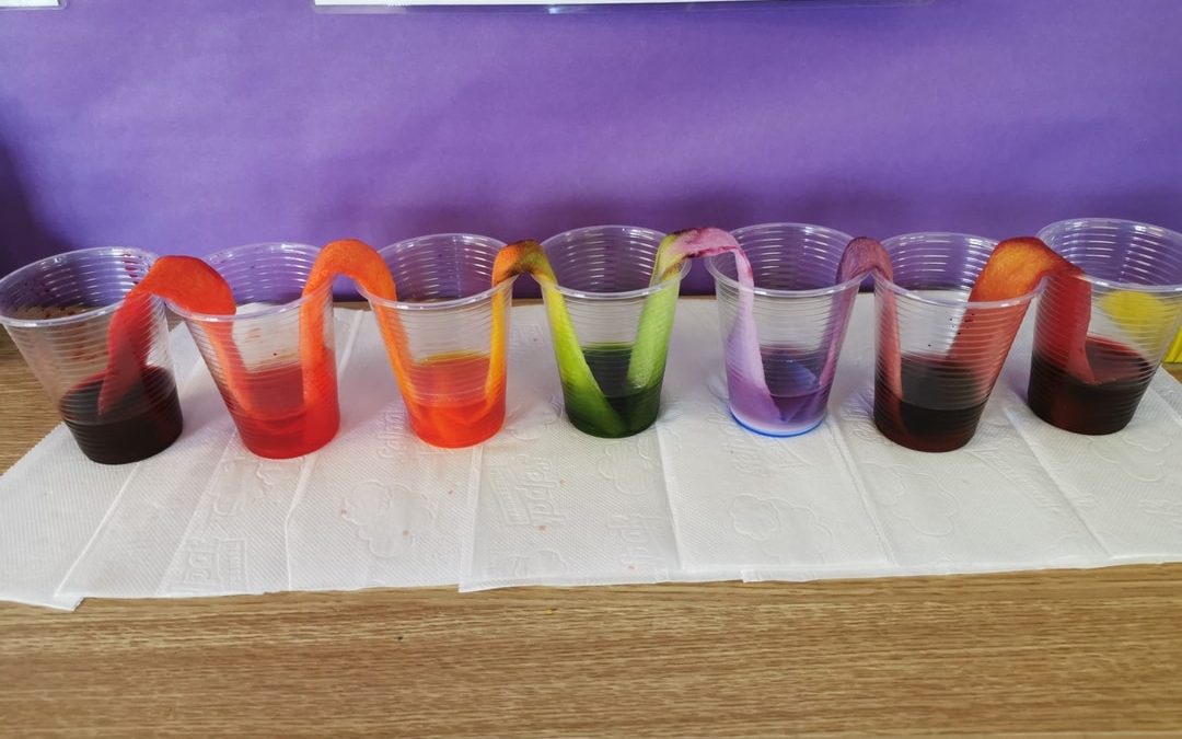 Science Week