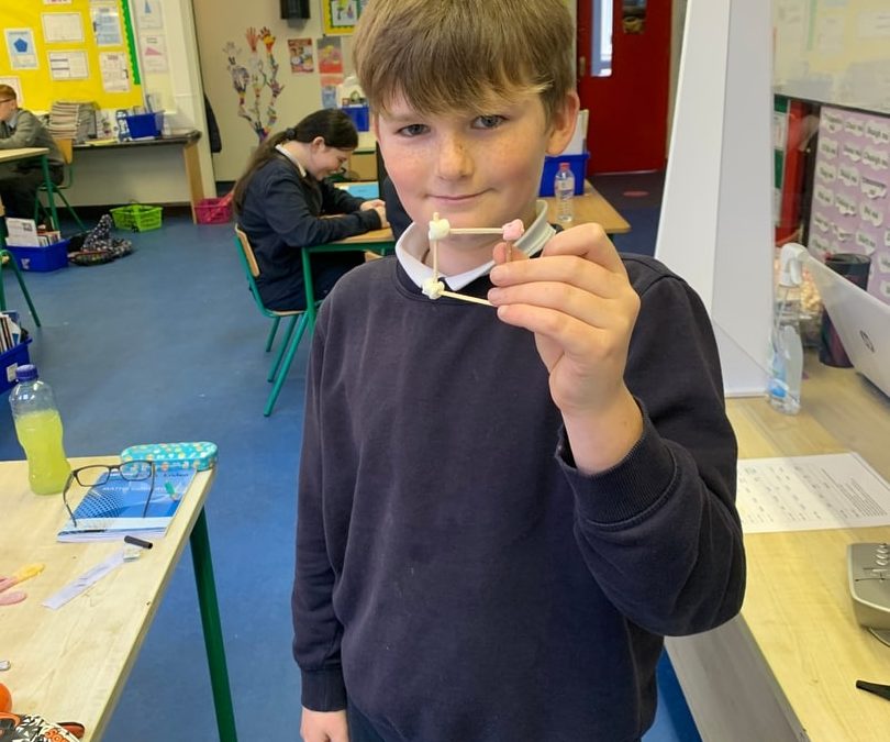 Science Week 6th Class