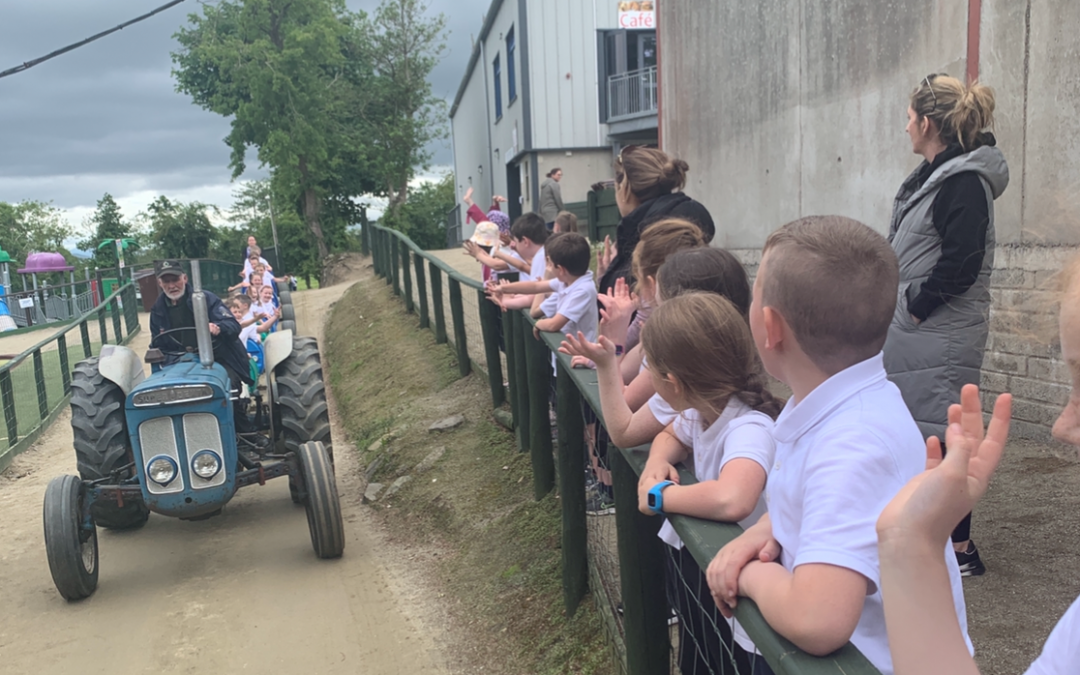 Farm Fun